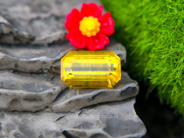 Ceylon Yellow Sapphire Octagon