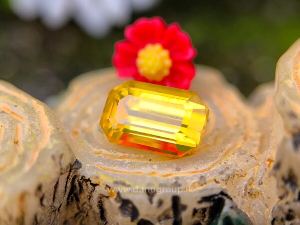 Ceylon Yellow Sapphire Octagon