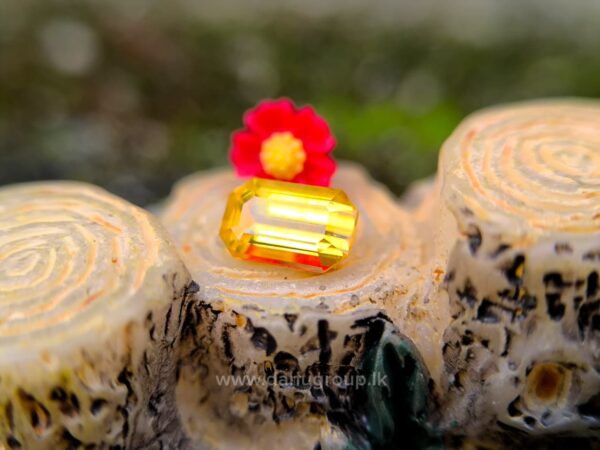 Ceylon Yellow Sapphire Octagon