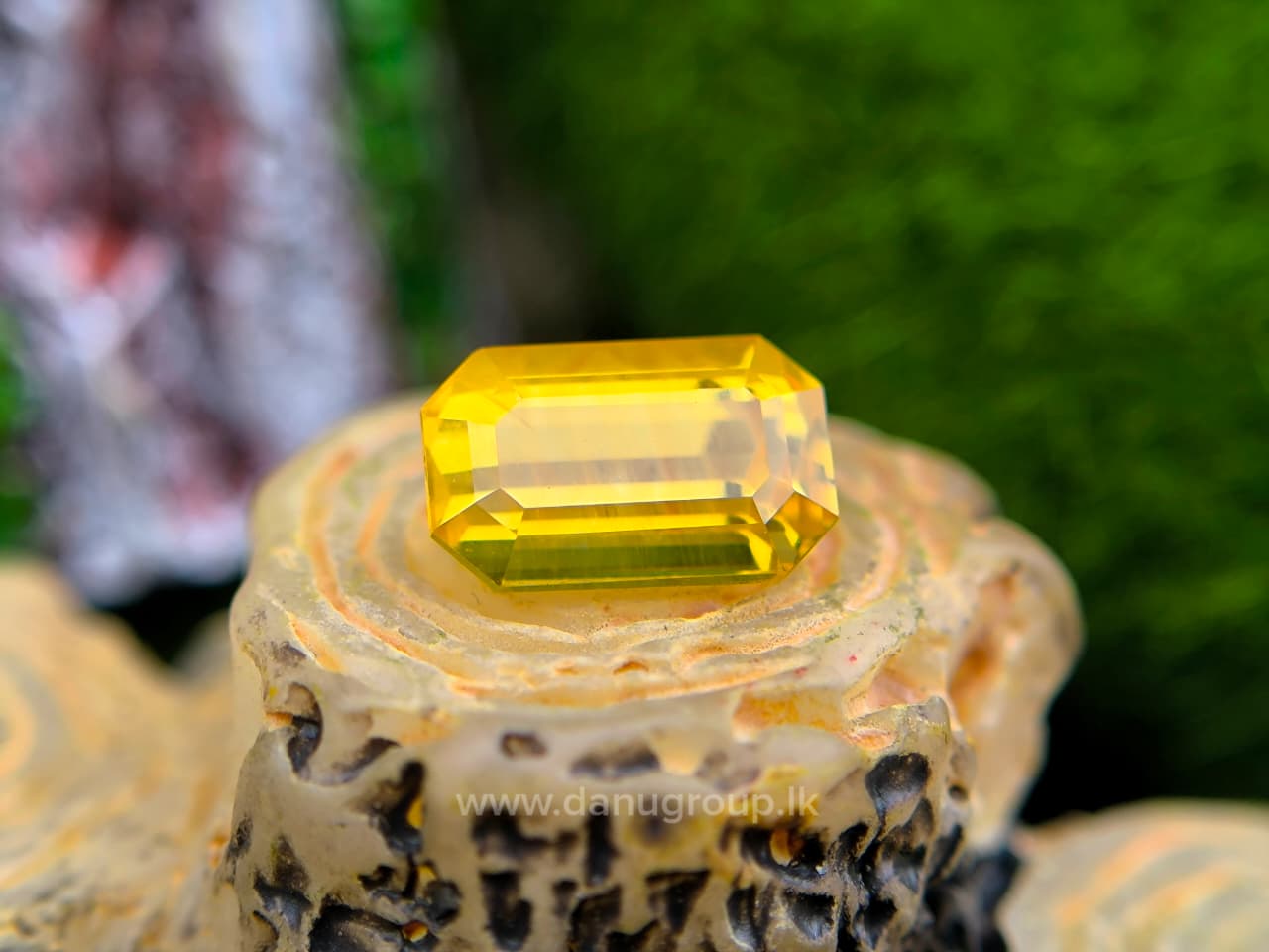 Ceylon Yellow Sapphire Octagon - Image 16
