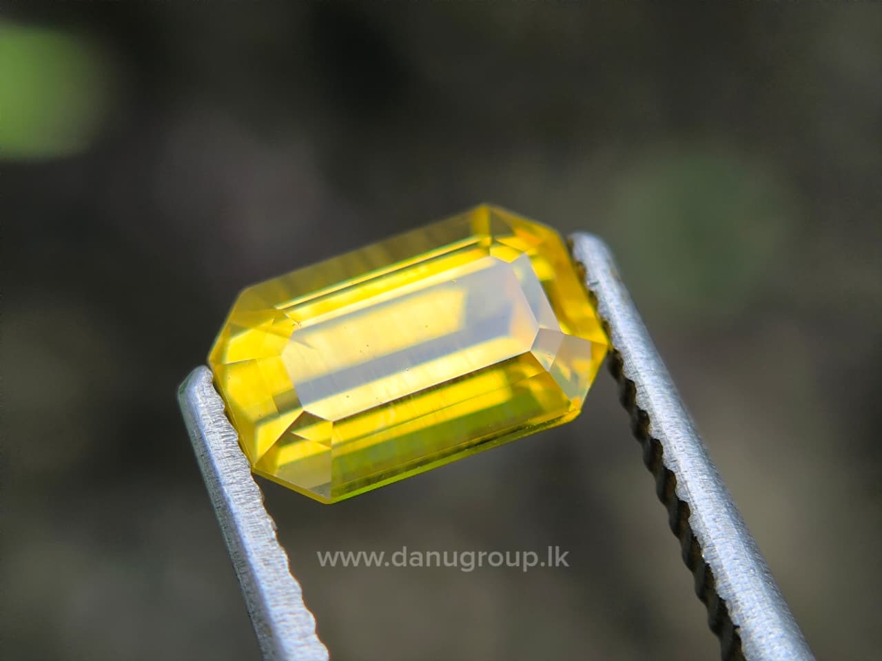 Ceylon Yellow Sapphire Octagon - Image 17