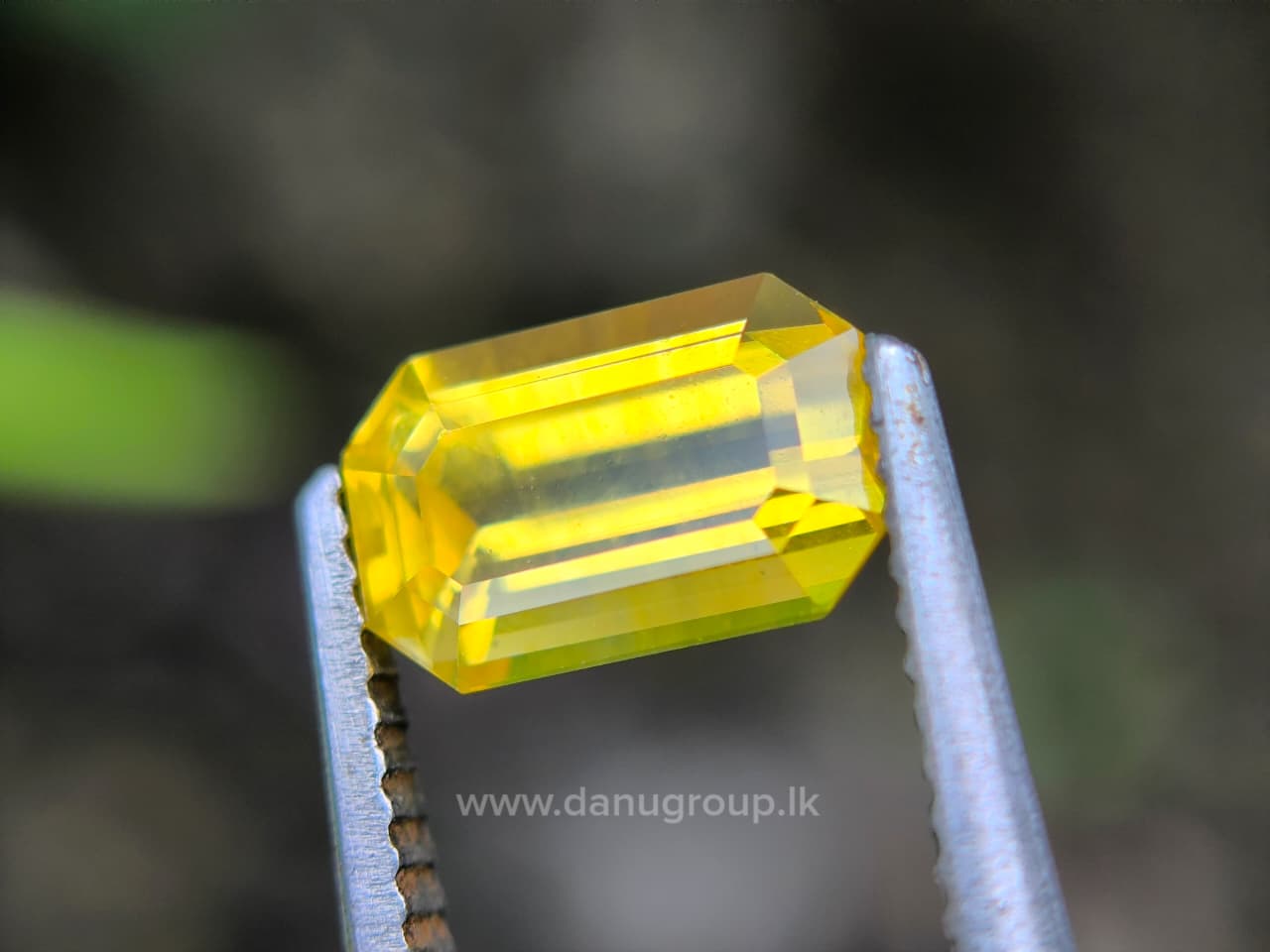 Ceylon Yellow Sapphire Octagon - Image 18