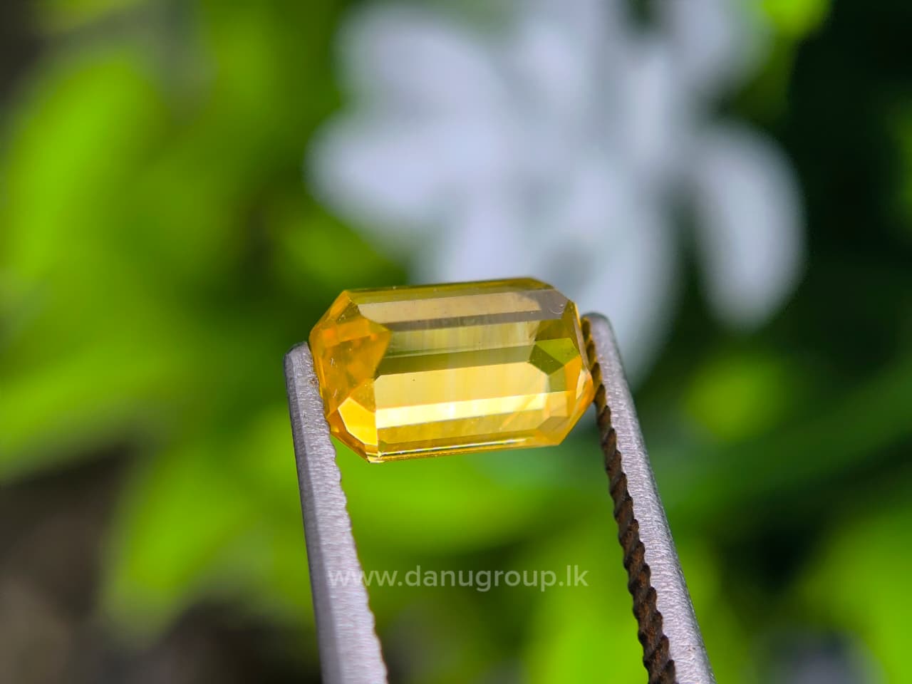 Ceylon Yellow Sapphire Octagon - Image 19