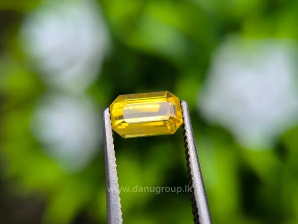 Ceylon Yellow Sapphire Octagon