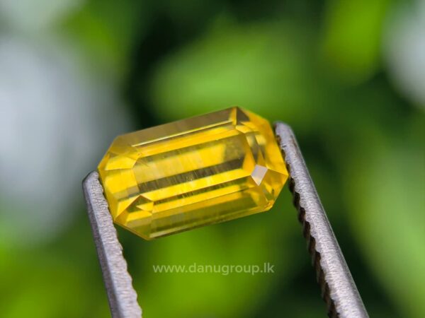 Ceylon Yellow Sapphire Octagon
