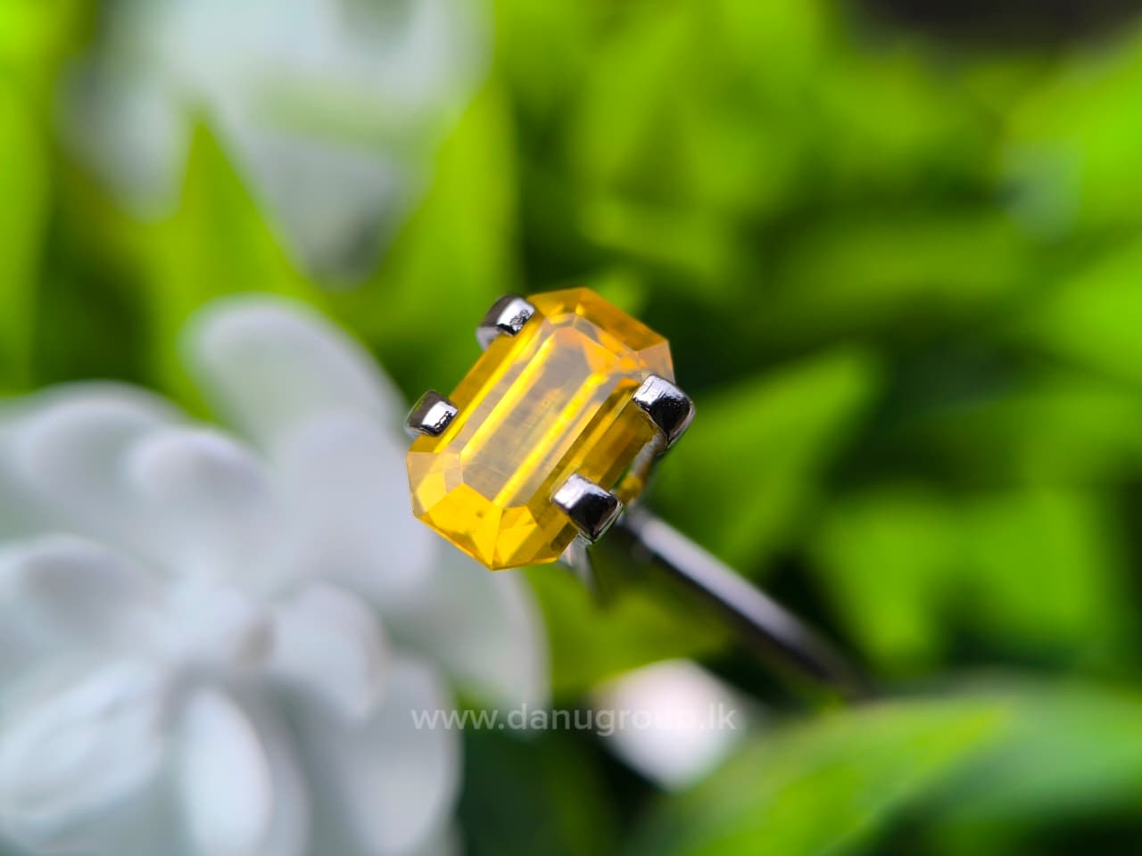Ceylon Yellow Sapphire Octagon - Image 5