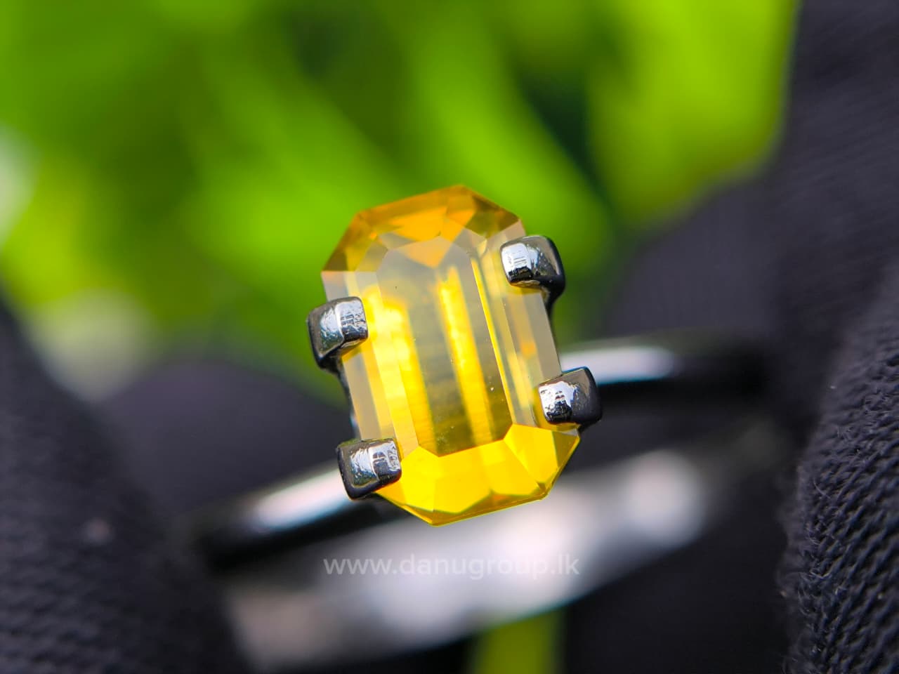 Ceylon Yellow Sapphire Octagon - Image 6