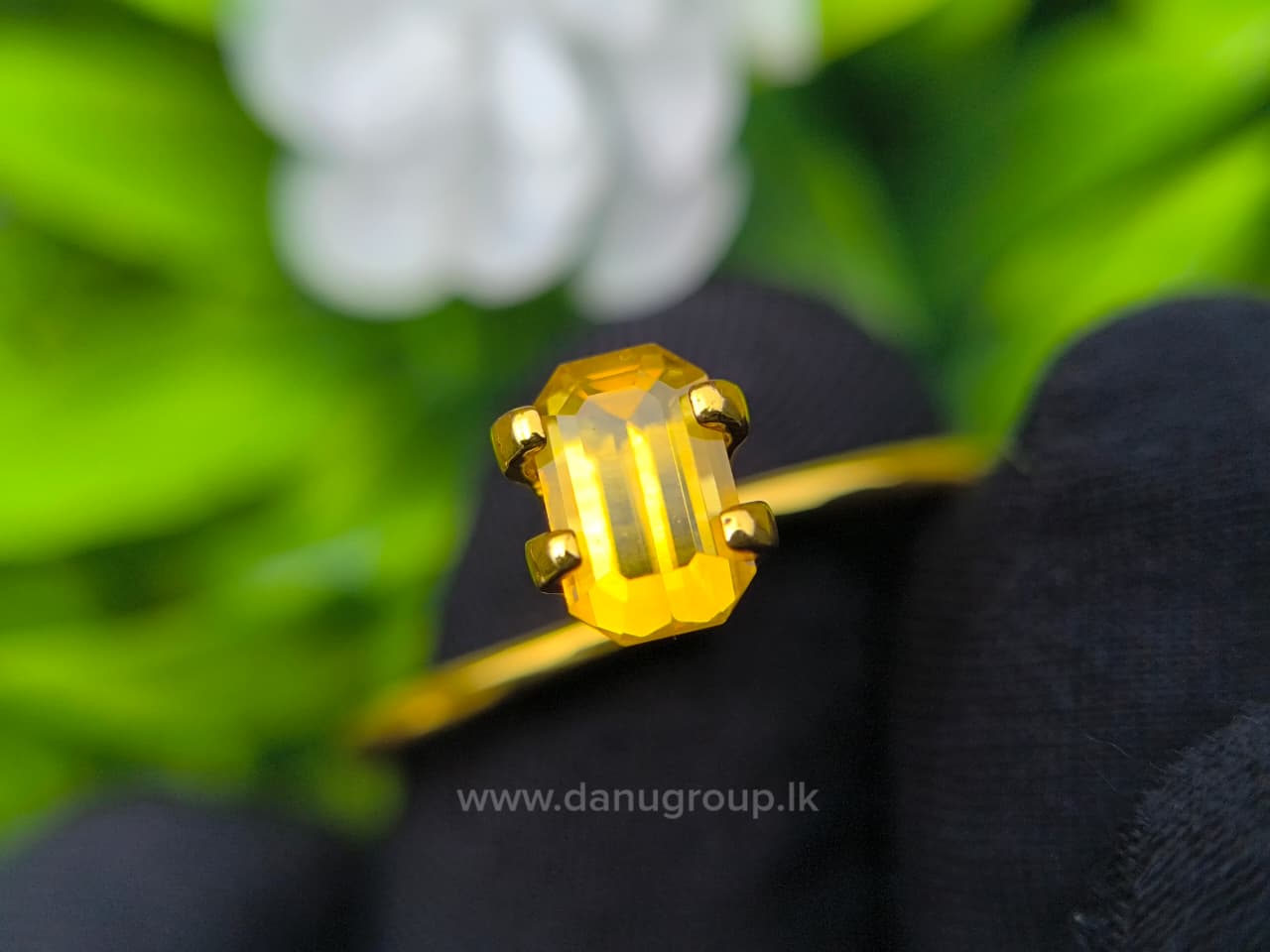Ceylon Yellow Sapphire Octagon - Image 8