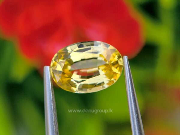 Ceylon Natural Yellow Sapphire