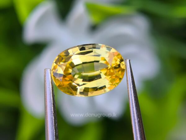 Ceylon Natural Yellow Sapphire