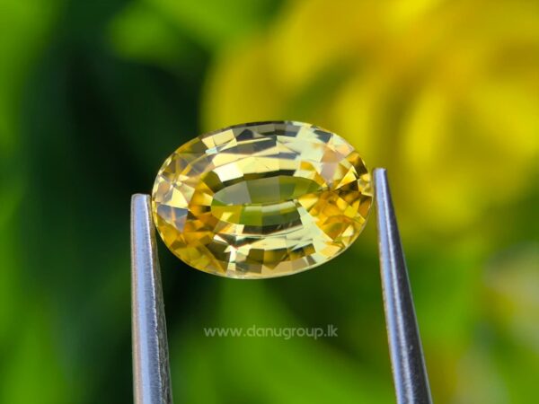 Ceylon Natural Yellow Sapphire