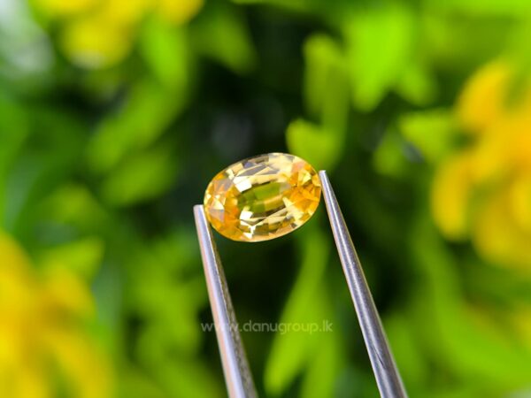 Ceylon Natural Yellow Sapphire
