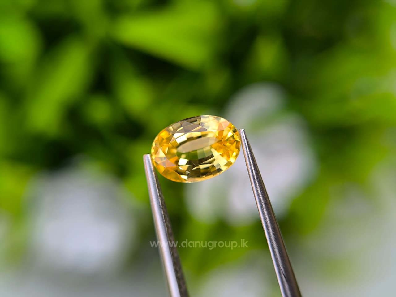 Ceylon Natural Yellow Sapphire