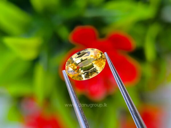 Ceylon Natural Yellow Sapphire