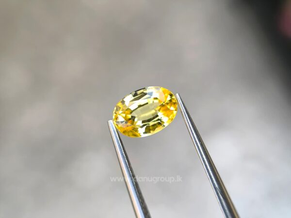 Ceylon Natural Yellow Sapphire