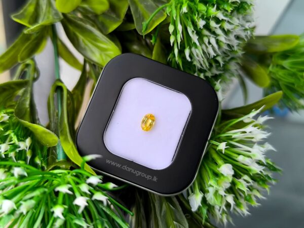 Ceylon Natural Yellow Sapphire