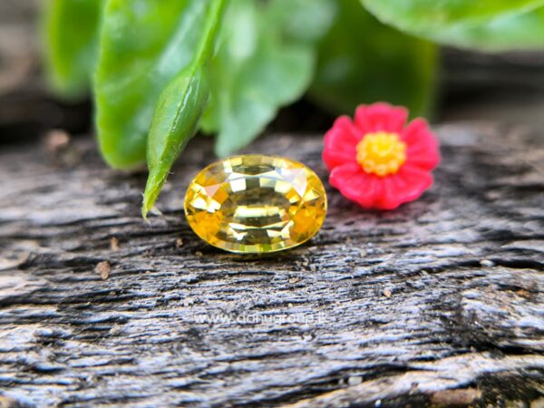 Ceylon Natural Yellow Sapphire