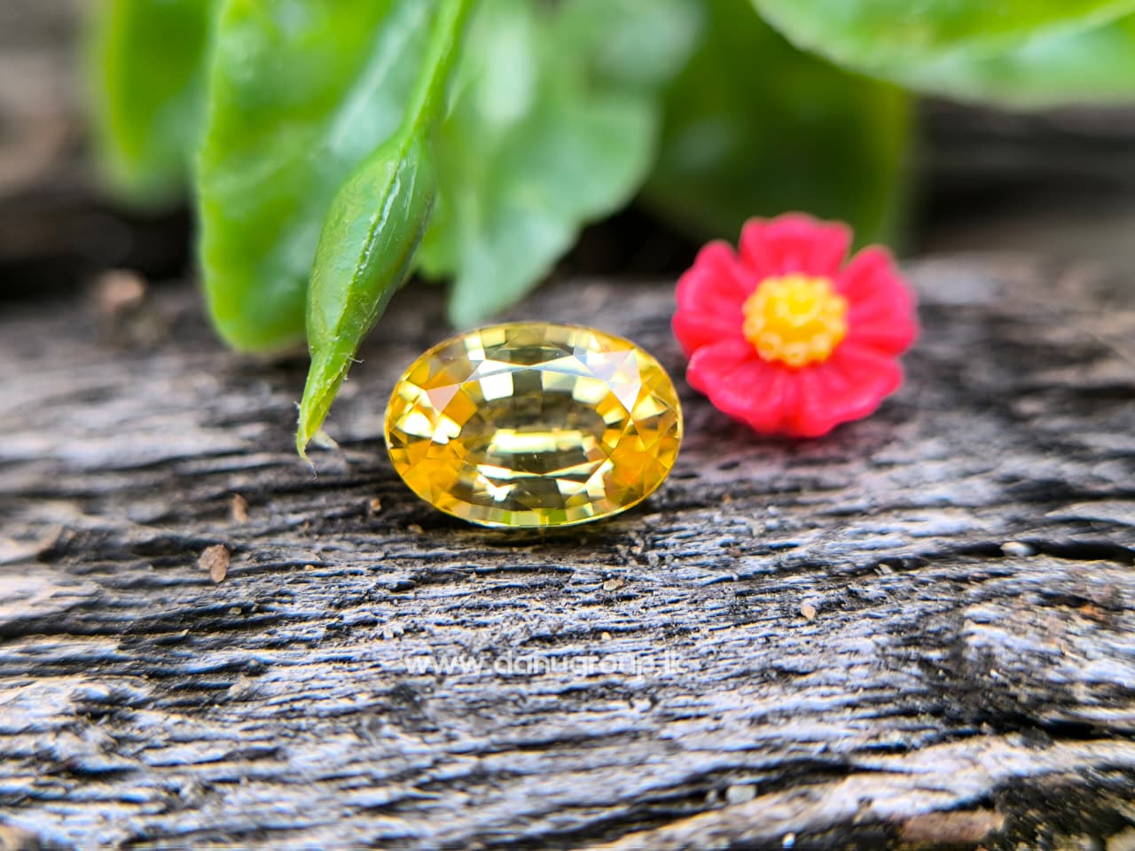 Ceylon Natural Yellow Sapphire