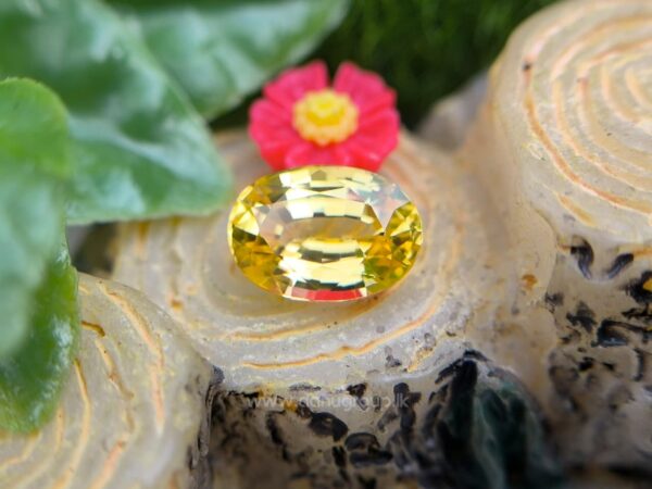 Ceylon Natural Yellow Sapphire