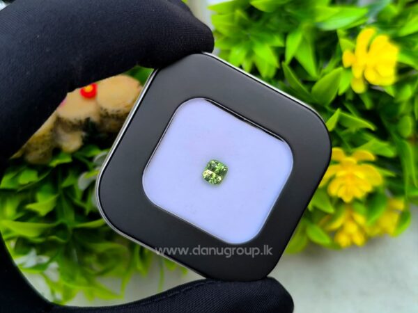Natural Tsavorite Garnet