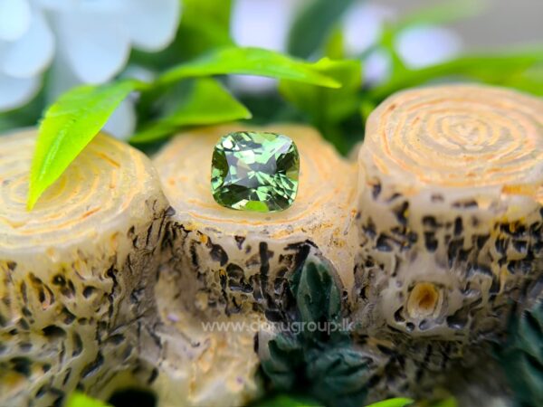 Natural Tsavorite Garnet