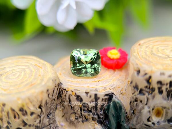 Natural Tsavorite Garnet