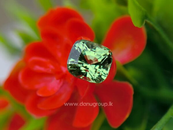 Natural Tsavorite Garnet