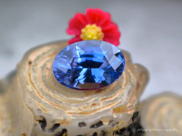 Natural Unheated Blue Sapphire
