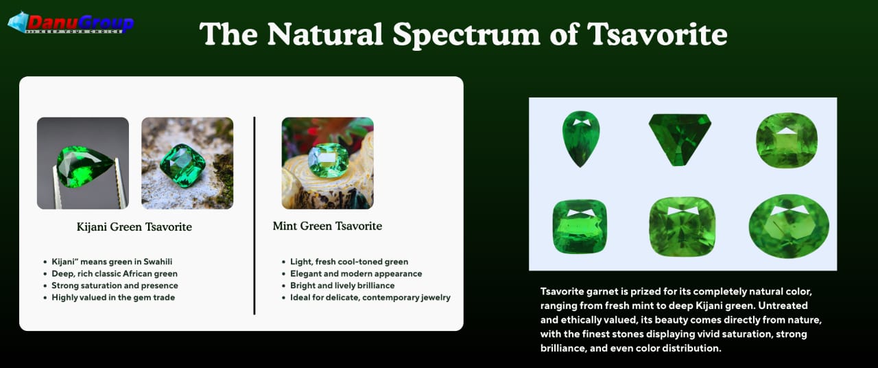 Tsavorite Garnet The Rare Green Gemstone Born from Africa’s Ancient Earth