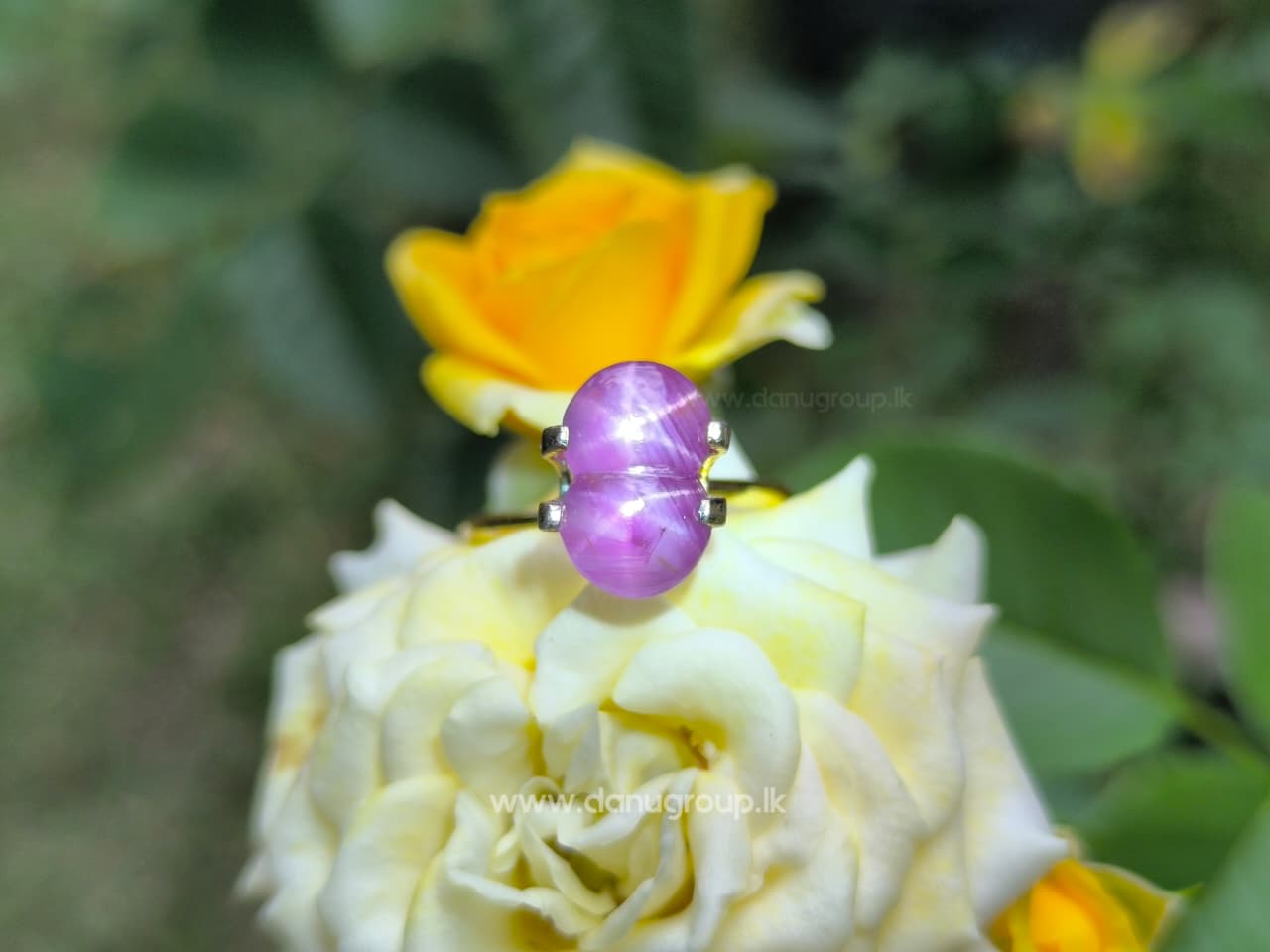 Ceylon Natural Rare Twin Star Sapphire