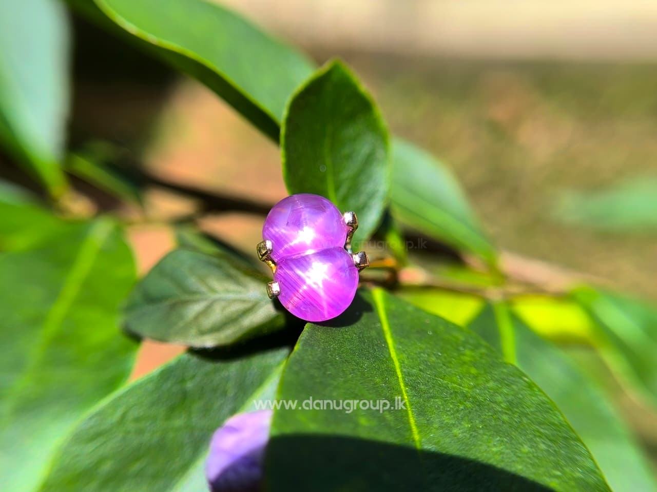 Ceylon Natural Rare Twin Star Sapphire