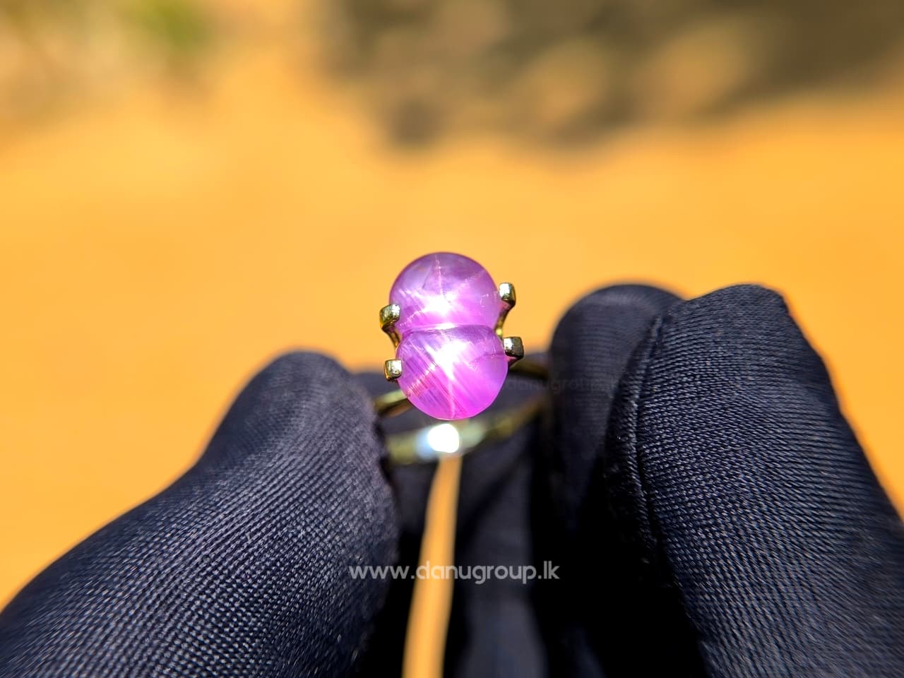 Ceylon Natural Rare Twin Star Sapphire