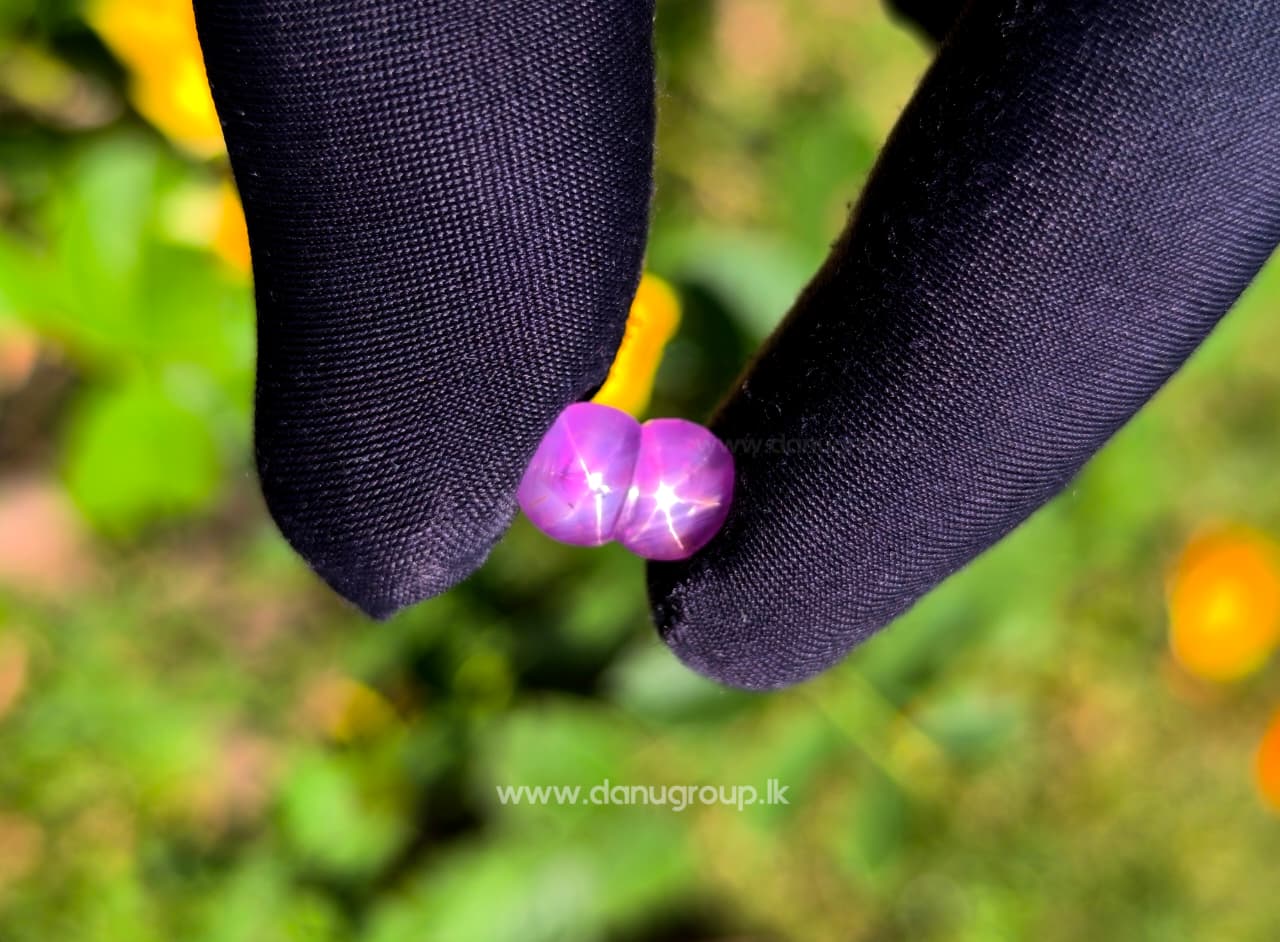 Ceylon Natural Rare Twin Star Sapphire