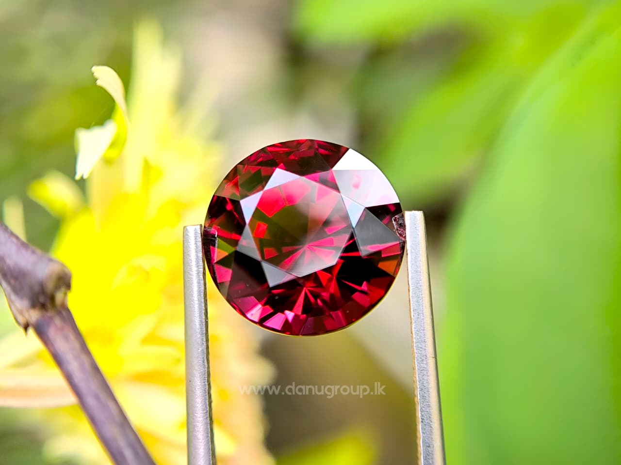 Ceylon Natural Red Garnet Round
