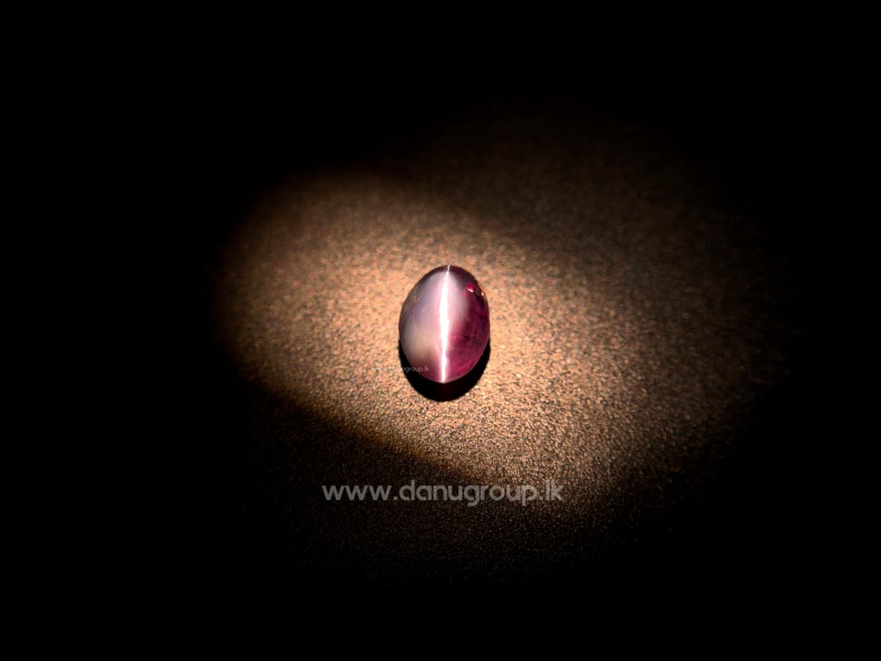 Green Alexandrite Cat’s Eye gemstone on white background with soft shadow and sharp eye effect.