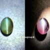 Red Alexandrite Cat’s Eye gemstone on white background with soft luxury shadow and strong cat’s eye line.