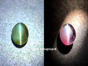 Ceylon Natural Alexandrite Cat’s Eye
