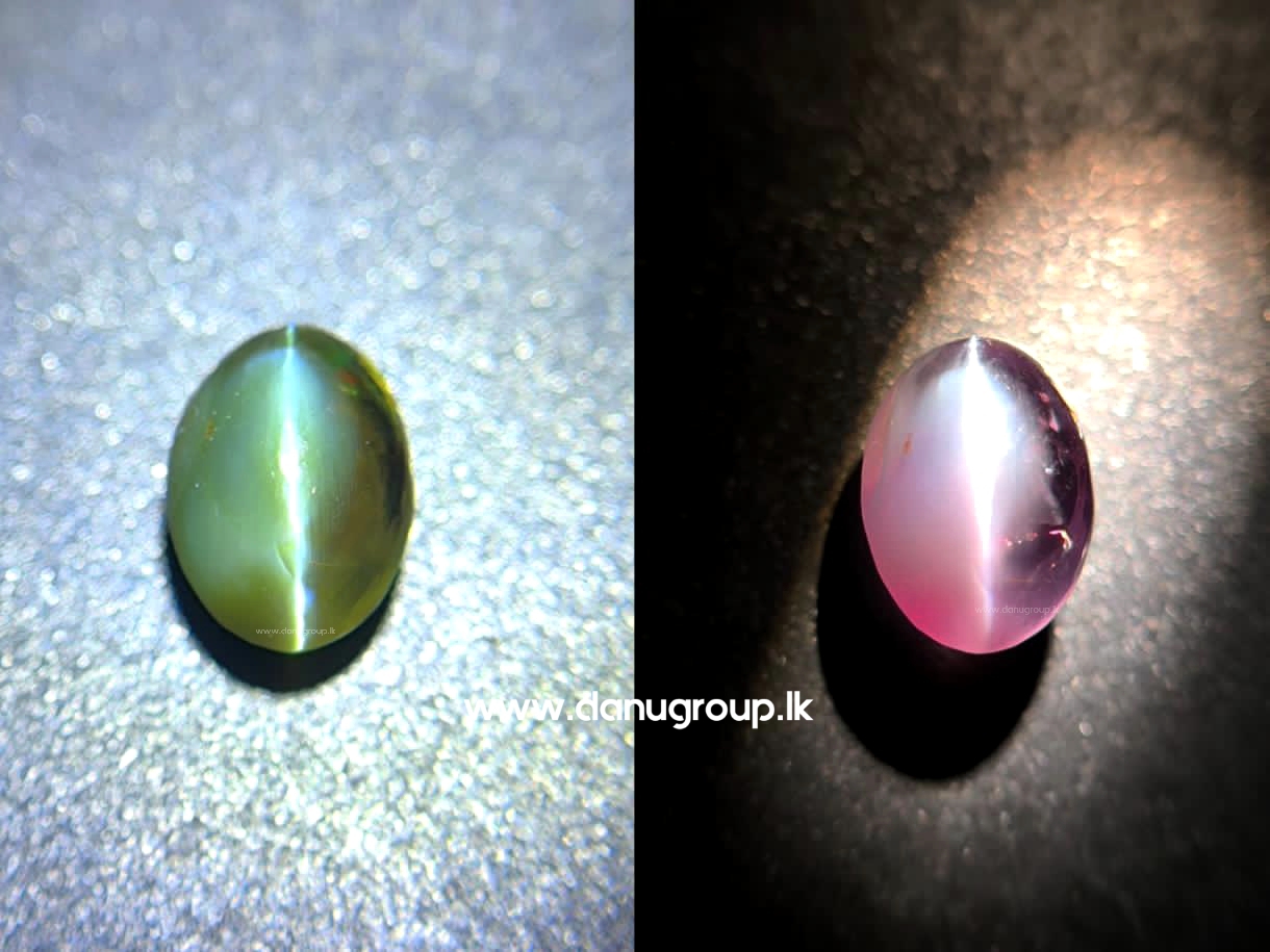 Red Alexandrite Cat’s Eye gemstone on white background with soft luxury shadow and strong cat’s eye line.