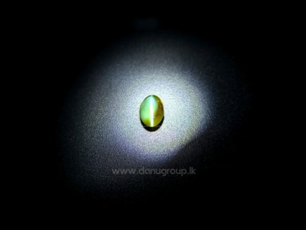 Pair of Alexandrite Cat’s Eye gemstones under spotlight showing green and red color-change appearances.