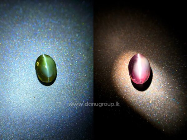 Green Alexandrite Cat’s Eye gemstone held on fingertips, showing natural cat’s eye effect and color-change character.