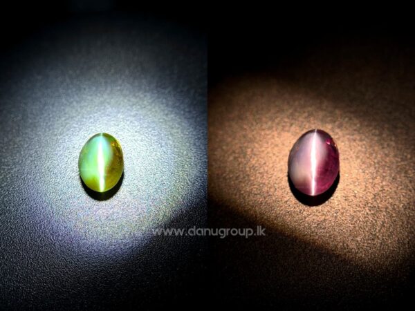 Close-up of green Alexandrite Cat’s Eye gemstone between fingers with clear chatoyancy and color-change character.