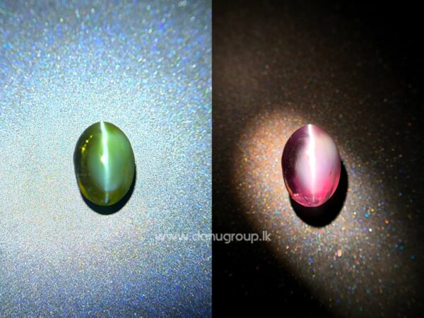 Red color-change Alexandrite Cat’s Eye gemstone with bright single eye under spotlight on black surface.