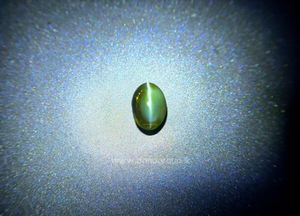 Oval red color-change Alexandrite Cat’s Eye gemstone with centered eye effect on dark background.