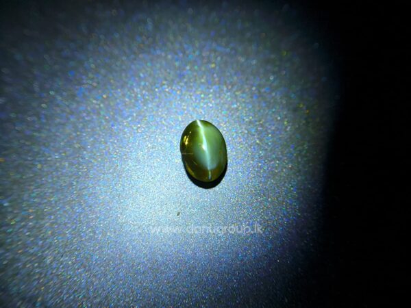Green Alexandrite Cat’s Eye gemstone under white spotlight showing sharp cat’s eye line and color-change character.