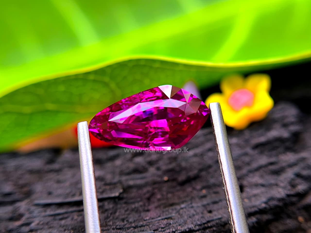 Ceylon Ruby