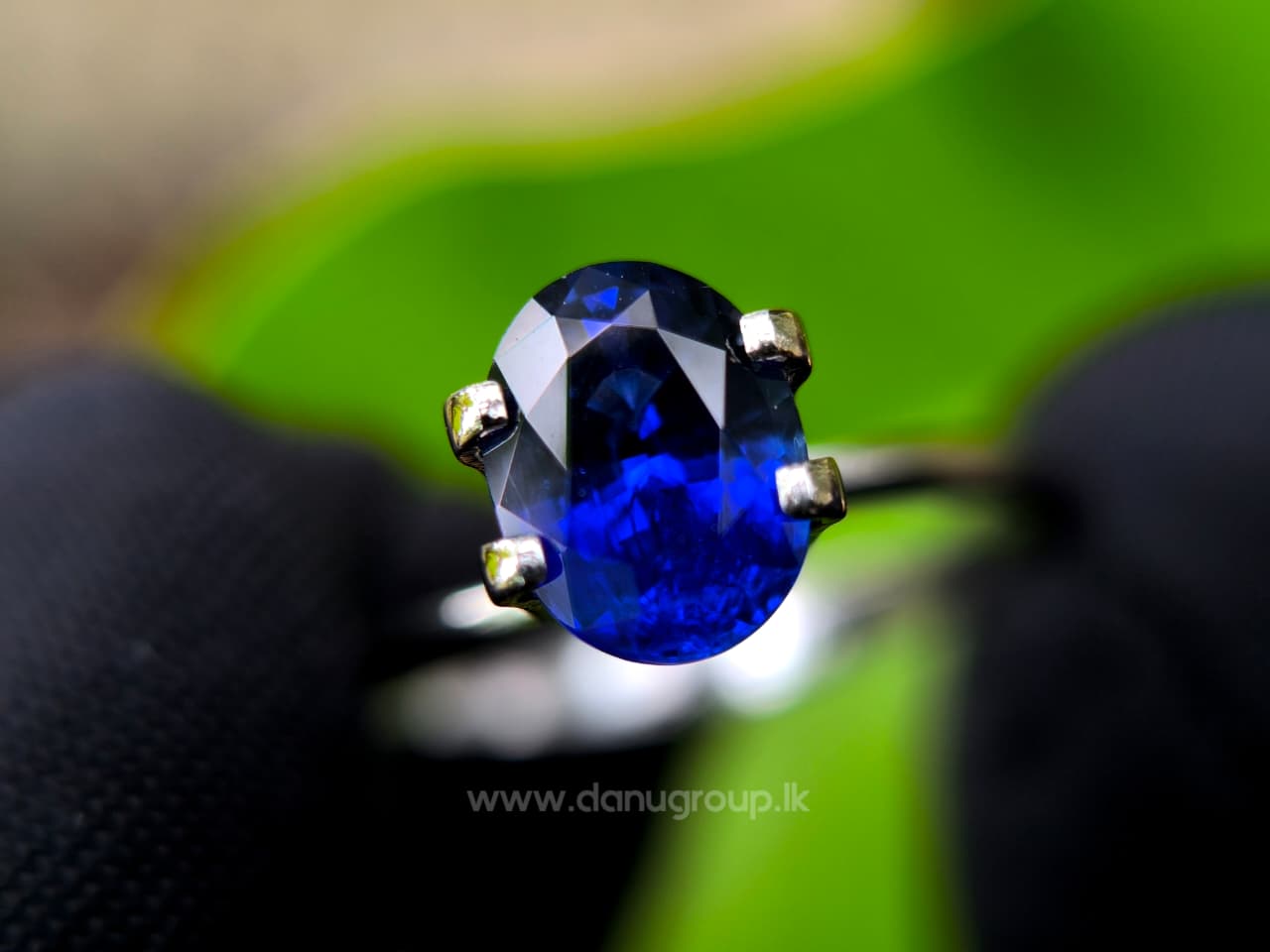 Royal Blue Sapphire