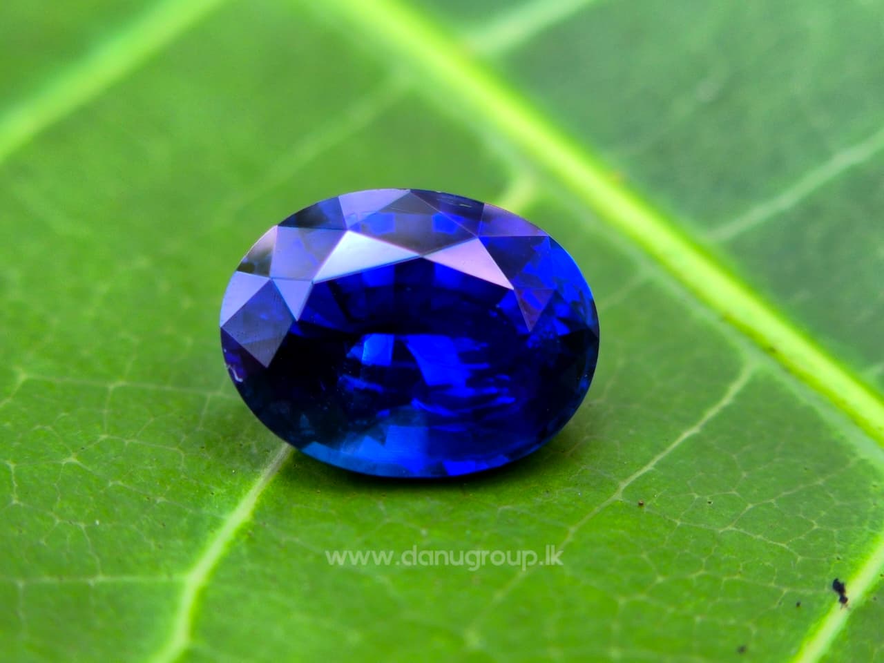 Royal Blue Sapphire