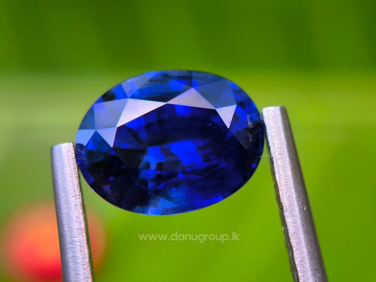 Royal Blue Sapphire