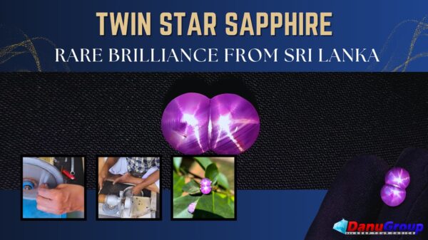 Twin Star Sapphire from Sri Lanka
