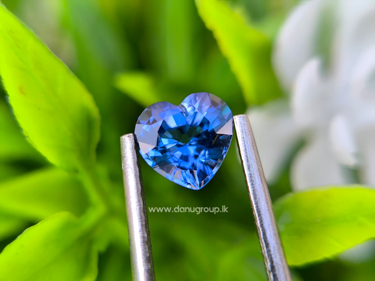 Ceylon Natural Blue Sapphire Heart